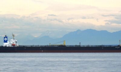 Avin International – A modern shipping company committed to people, planet, and innovation